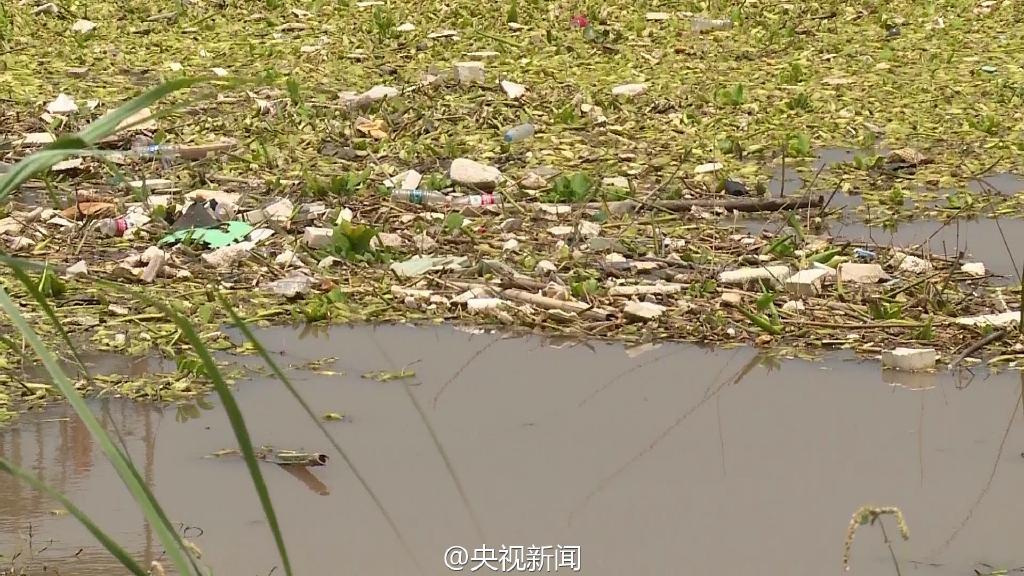 Le fleuve Yangtsé encombré par près de 10 000 mètres carrés de déchets flottants à Chongqing