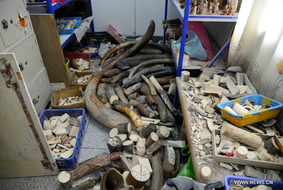 La police du Jiangxi saisit 600 kg d'ivoire illégal
