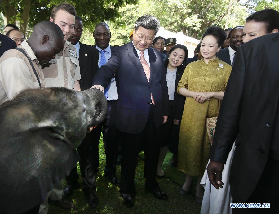 Xi Jinping réitère l'engagement de la Chine à protéger la faune