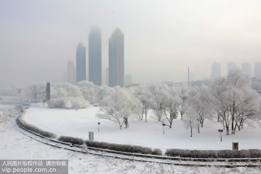 Jilin : les rives de la rivière Songhua prisonnières du givre