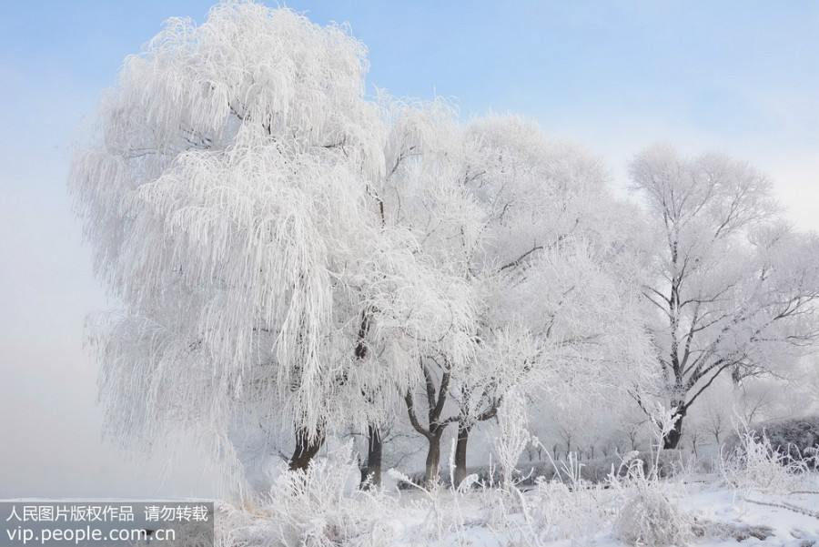 Jilin : les rives de la rivière Songhua prisonnières du givre