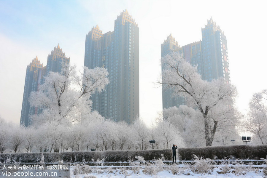 Jilin : les rives de la rivière Songhua prisonnières du givre