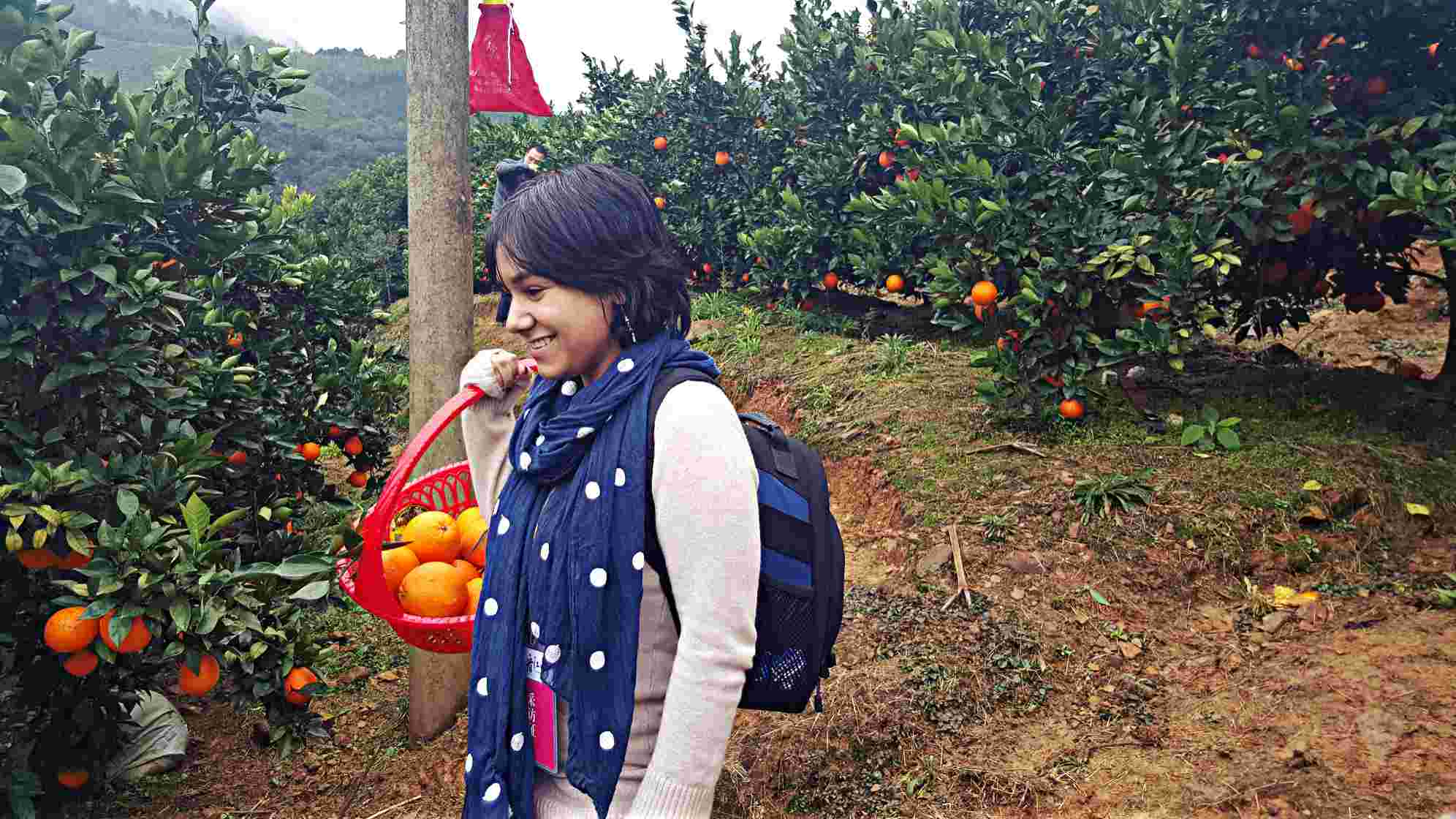 Découvrez les oranges de Ganzhou : une des spécialités du Jiangxi 