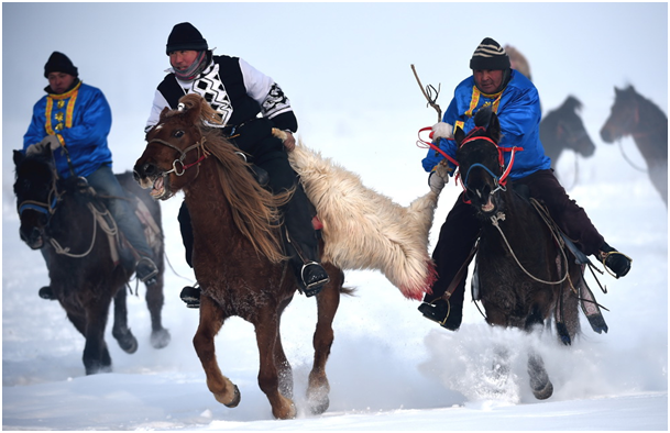 Bataille pour un mouton sous la neige dans le Xinjiang