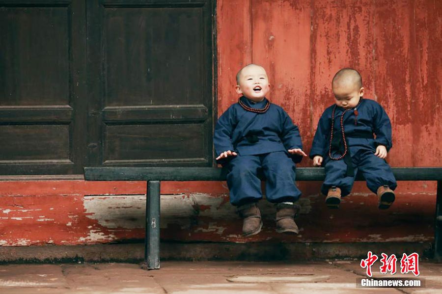 Deux adorables « petits moines » deviennent des stars en ligne