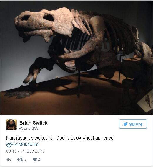 Le reptile préhistorique le plus insolite du monde retrouvé en Chine
