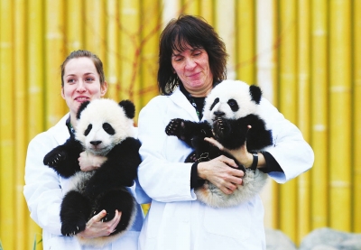 Le PM chinois se félicite du baptême de pandas jumeaux au zoo de Toronto