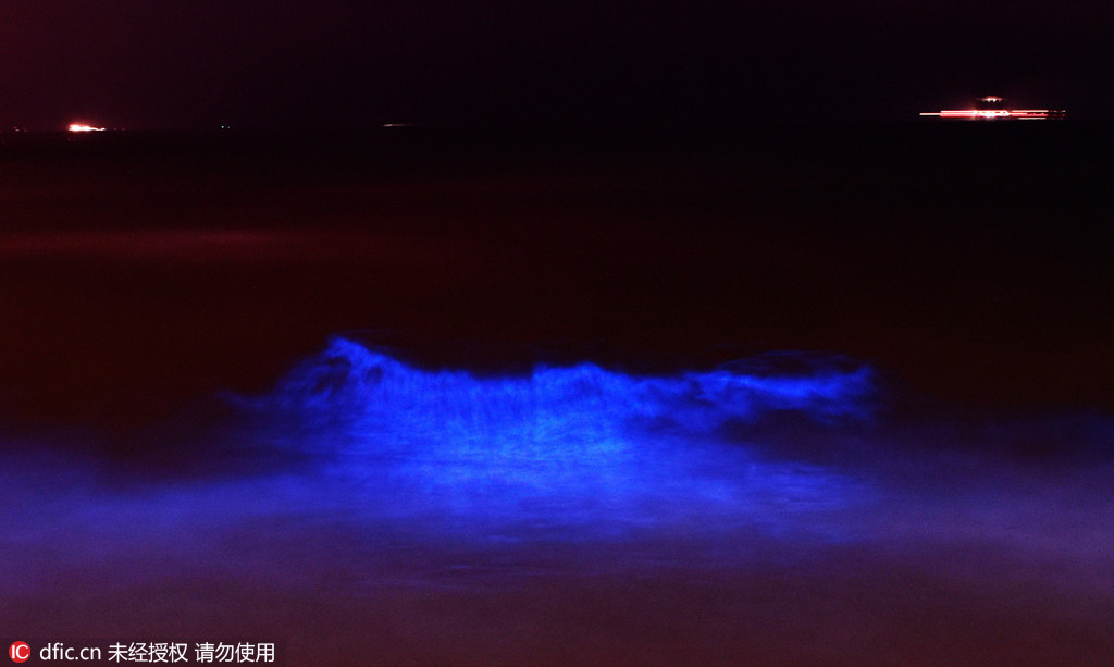 Apparition d'un paysage d'eaux mi-phosphorescentes mi-brun-rouge sur les côtes de Shenzhen