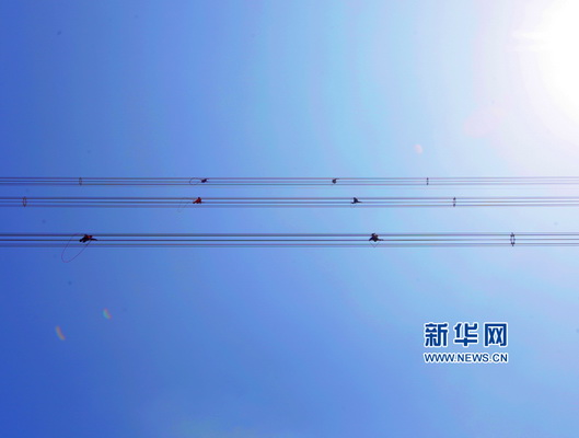 Les plus beaux travailleurs sous l'objectif du drone de Xinhuanet : Danseurs du ciel