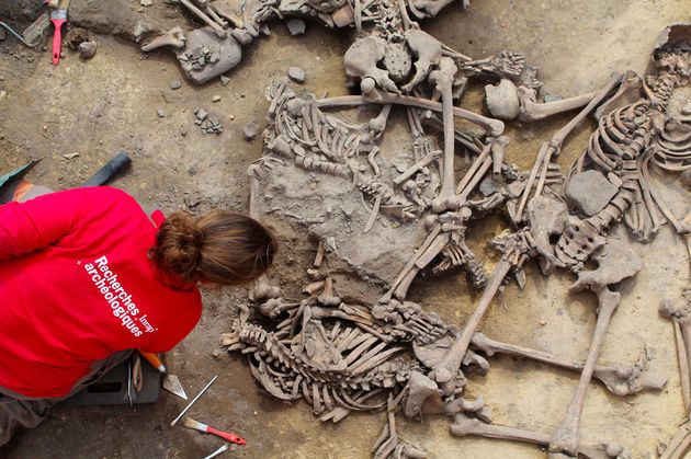 Un massacre a eu lieu en Alsace il y a 6000 ans