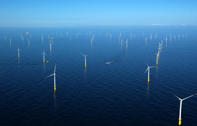 China Three Gorges rachète le parc éolien allemand de Meerwind à Blackstone