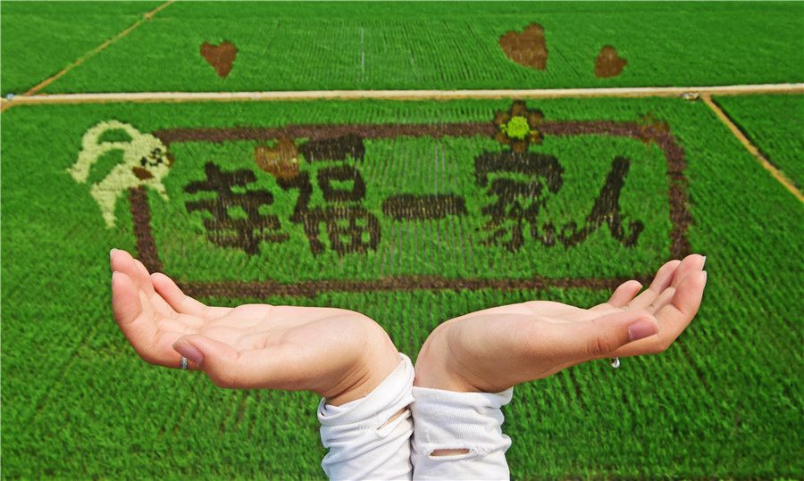 Des rizières transformées en véritables oeuvres d’art