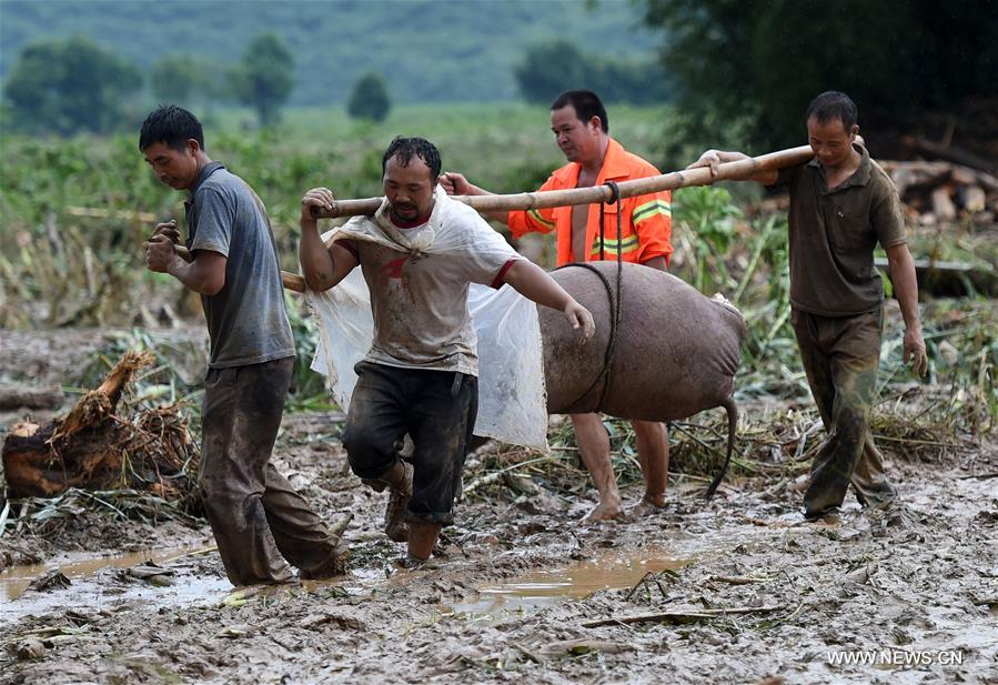 Les pluies continues affectent des millions de personnes à travers la Chine