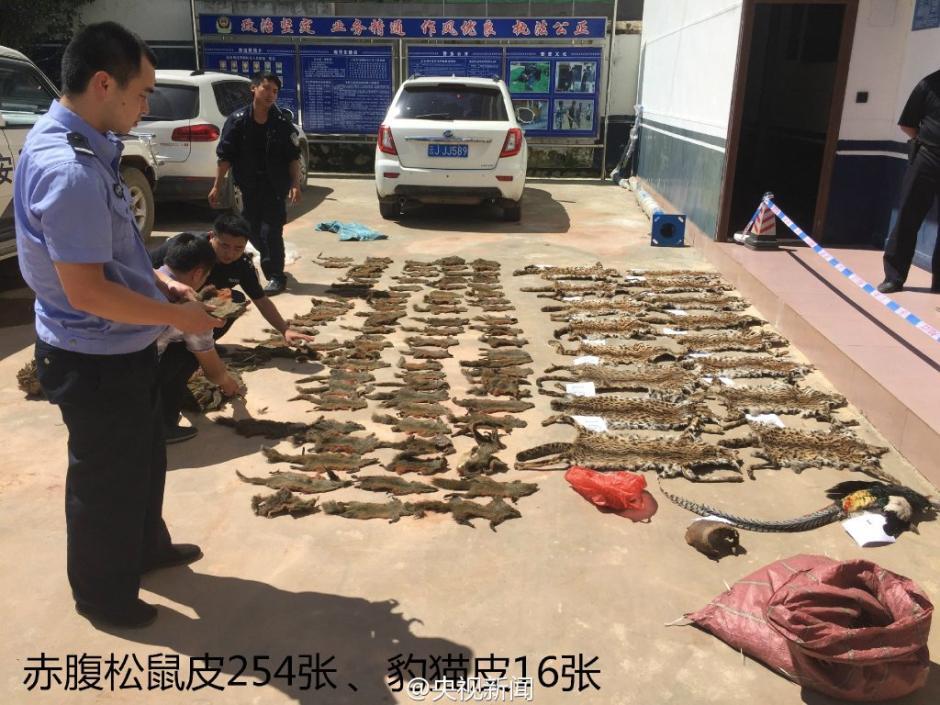 Saisie d'un grand nombre de carcasses d'animaux sauvages par la police du Yunnan