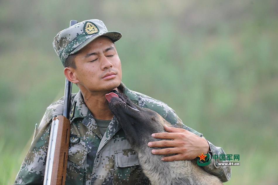 Des chiens chinois aux Jeux internationaux des Armées 2016