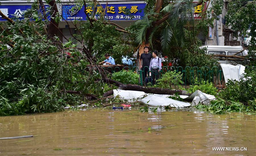 Le typhon Meranti touche terre dans l'est de la Chine