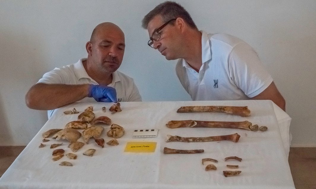 Découverte d'un squelette vieux de plus 2 000 ans dans une épave de navire antique en Grèce
