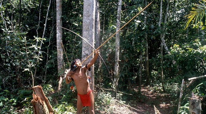 Six chercheurs d'or tués par flèches par des Indiens dans la jungle brésilienne