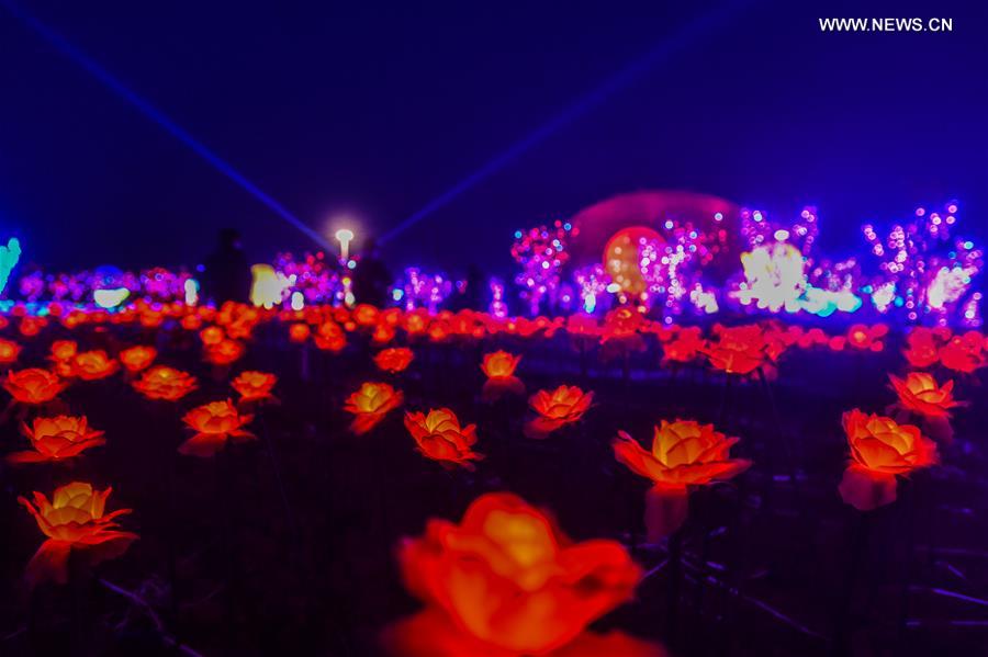 Des milliers de lumières en forme de rose dans le Zhejiang