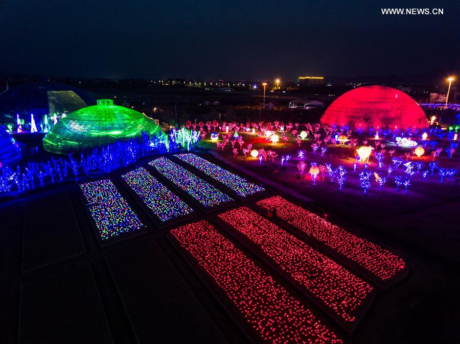 Des milliers de lumières en forme de rose dans le Zhejiang