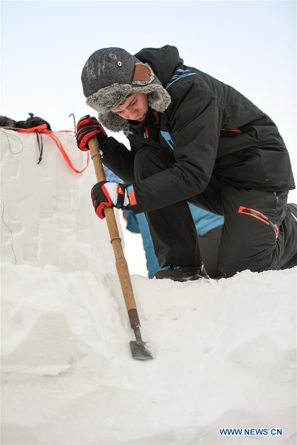 Concours international de sculpture sur neige à Harbin