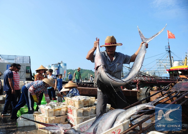 Chine : moins de 10 millions de tonnes de poissons pêchés d’ici 2020