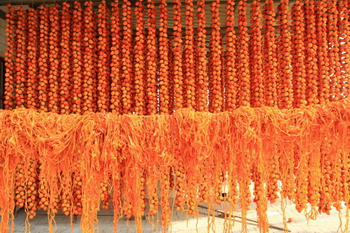 Les galettes de kaki de Fuping, une précieuse spécialité du Shaanxi