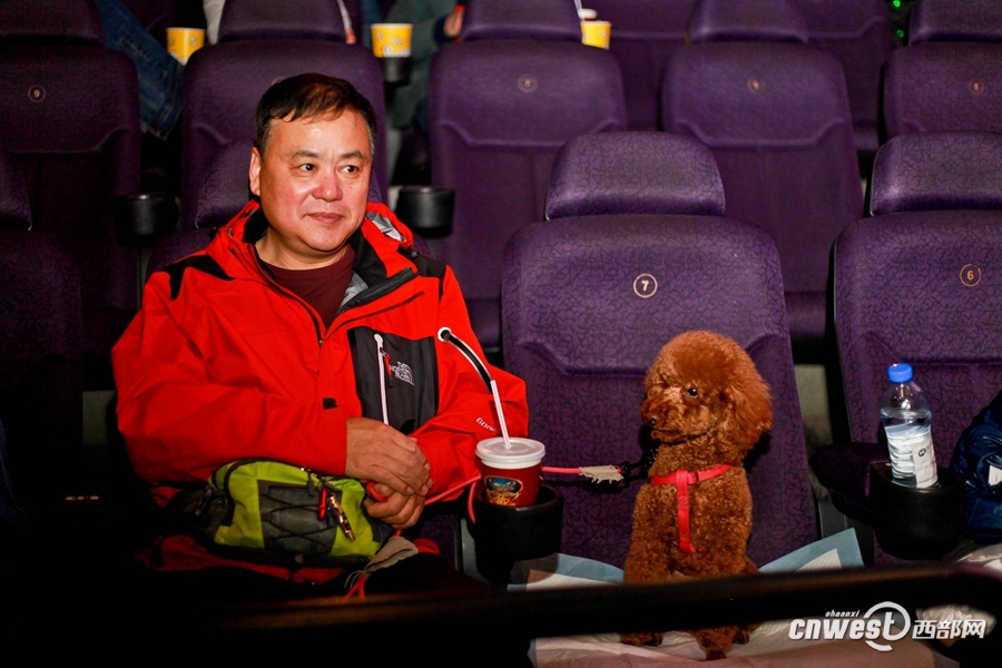 Xi’an : une séance de cinéma à partager avec son chien 