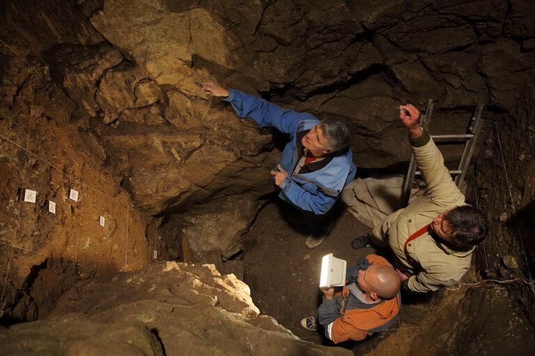 Des scientifiques allemands recueillent de l'ADN ancien à partir de sédiments d'une grotte