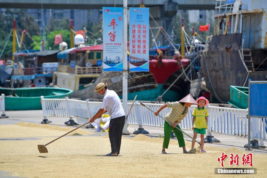 Début du moratoire sur la pêche en mer de Chine du Sud