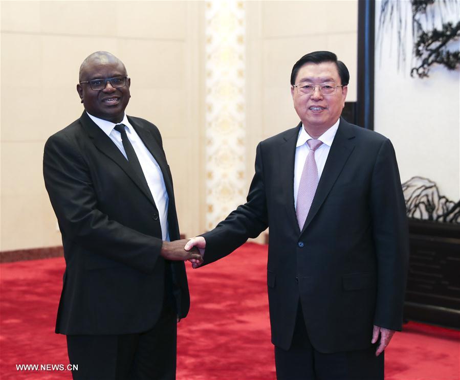 Le plus haut législateur chinois appelle à renforcer les relations avec la Zambie