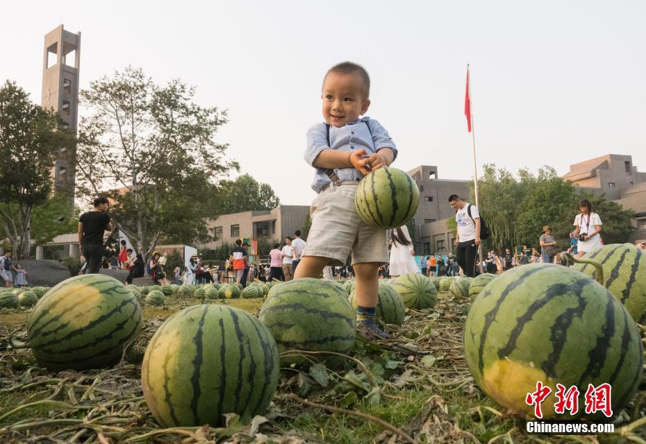 Des melons à l’Académie des beaux-arts de Beijing 