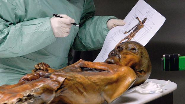 Qui a tué Ötzi, l'homme des glaces ? 5 300 ans après sa mort, l'Italie a rouvert l'enquête