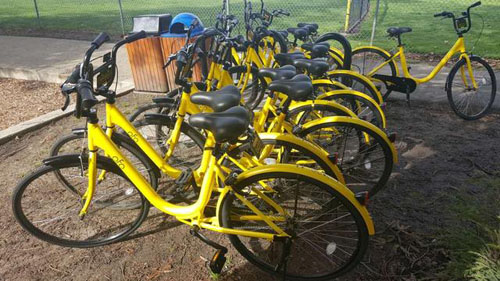 Ofo se lance sur les marchés britannique et américain du vélo en libre-service