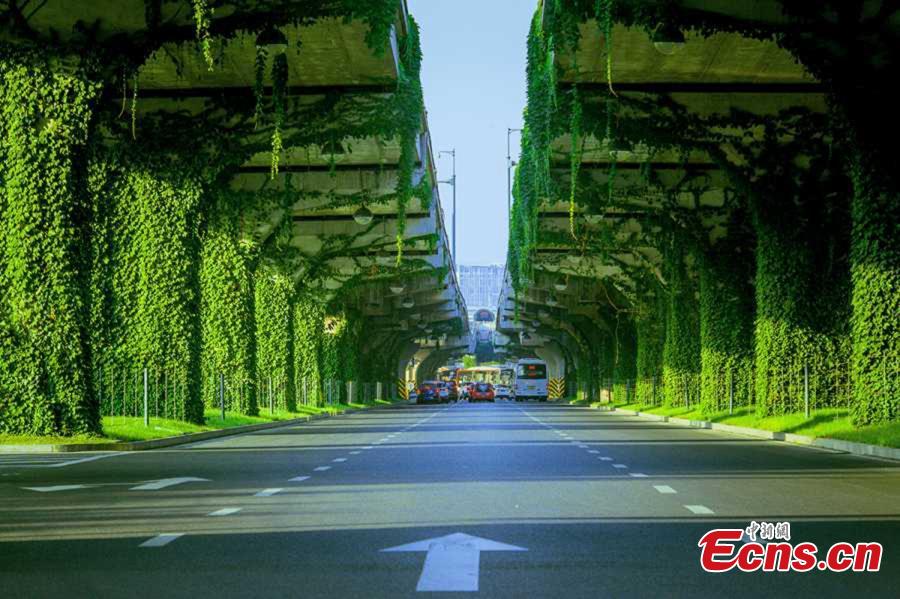 Un pont vert à Chengdu