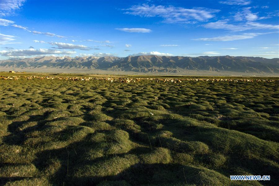 Paysage de la prairie de Barkol au Xinjiang