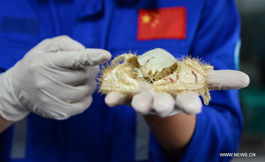 Chine : échantillons collectés par le navire de recherche Kexue