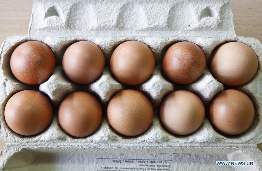 France : près de 250.000 œufs contaminés à l'insecticide fipronil ont été mis sur le marché