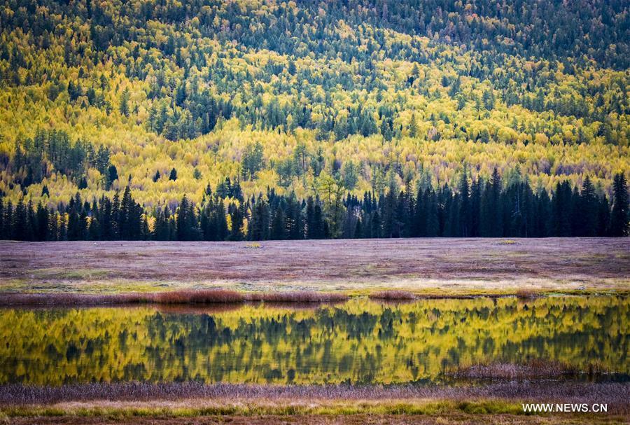 La beauté du Xinjiang en automne