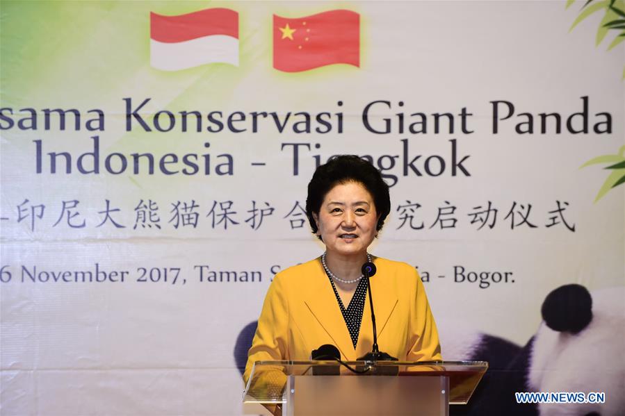 Inauguration du Programme partenaire Chine-Indonésie pour la préservation des pandas géants
