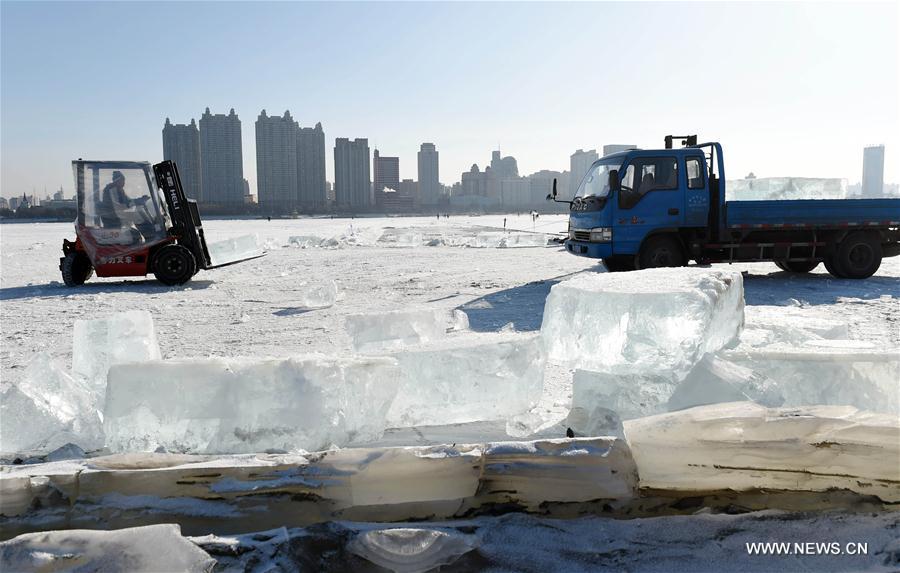 Harbin se prépare pour son festival de sculptures de glace