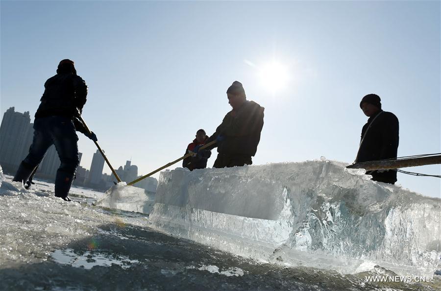 Harbin se prépare pour son festival de sculptures de glace