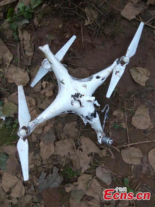 Chongqing : des tigres s'attaquent à un drone