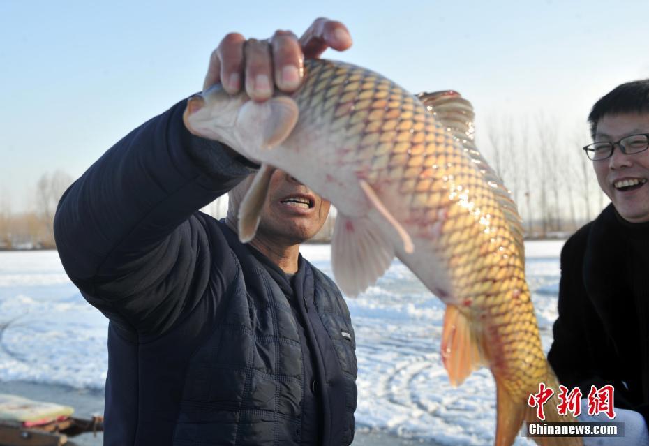 Hebei : le lac Baiyangdian en hiver