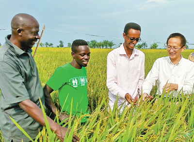 La Chine va continuer à renforcer la coopération agricole avec l'Afrique