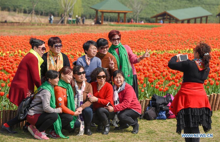 Le meilleur moment pour apprécier les fleurs de printemps en Chine