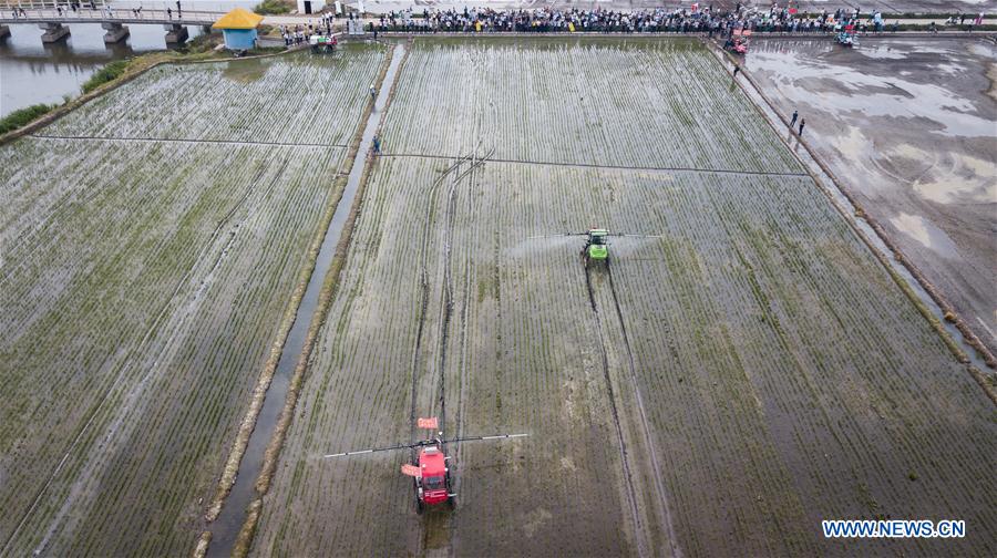 Chine : des machines sans pilote dans les rizières du Jiangsu