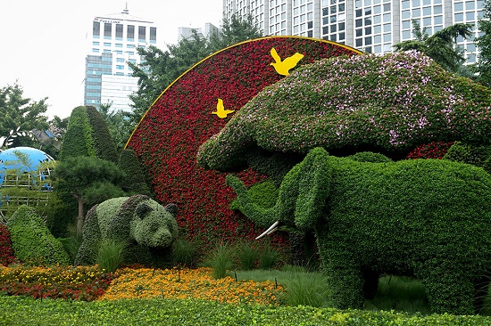Beijing : installation d'un parterre de fleurs à Chaoyangmen