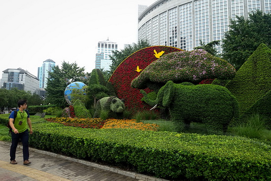 Beijing : installation d'un parterre de fleurs à Chaoyangmen