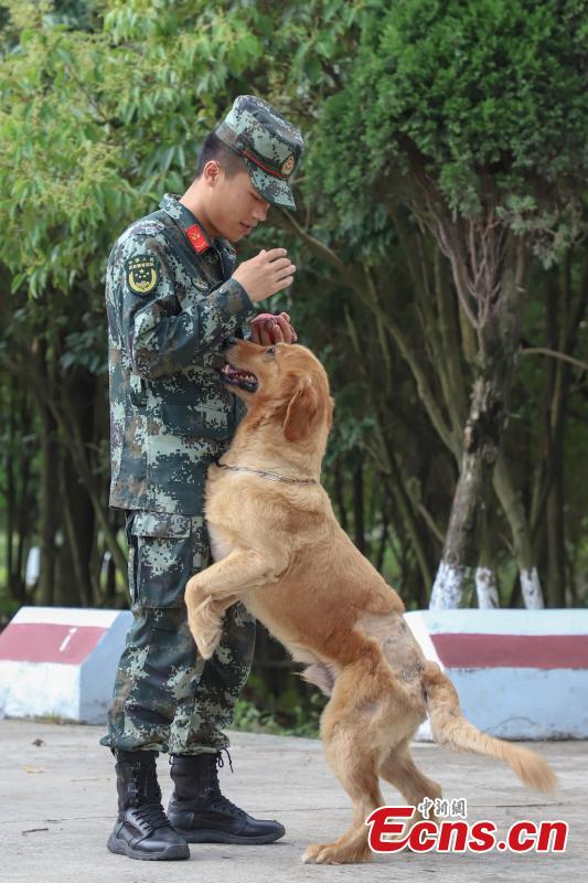 Il est toujours difficile de dire au revoir à un chien policier